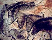 chauvet